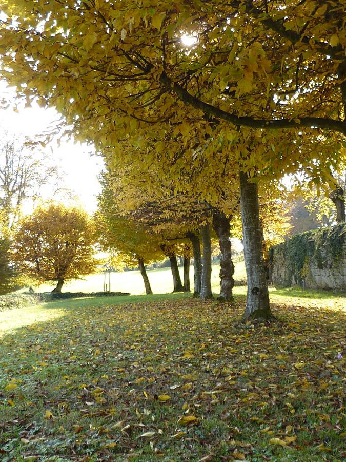 Chateau La Hussardiere Dampierre-sur-Salon Exterior foto